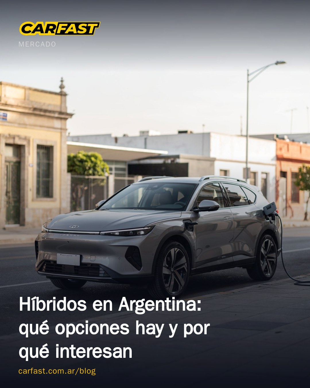 Híbridos en Argentina: qué opciones hay y por qué interesan
