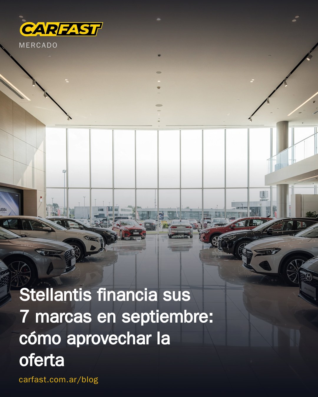 Stellantis financia sus 7 marcas en septiembre: cómo aprovechar la oferta